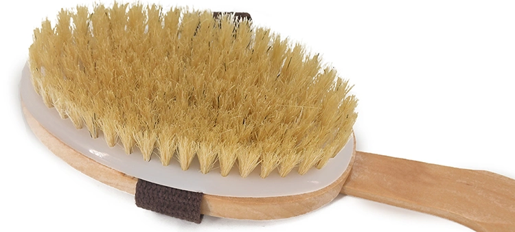 Natural Wood Long Handle Bath Body Brush Horsehair Bath Brush